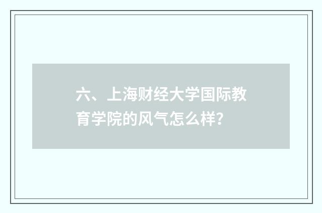 六、上海财经大学国际教育学院的风气怎么样？