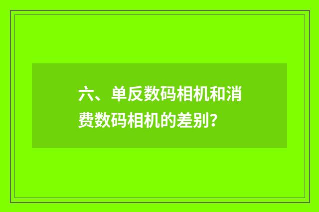六、单反数码相机和消费数码相机的差别?