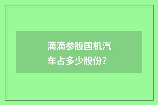 滴滴参股国机汽车占多少股份?