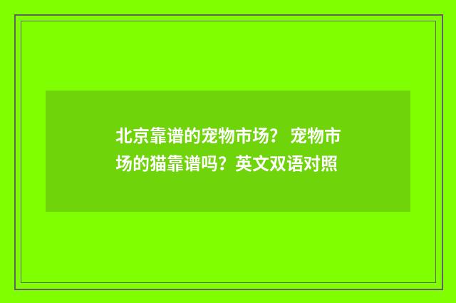 北京靠谱的宠物市场？ 宠物市场的猫靠谱吗？英文双语对照