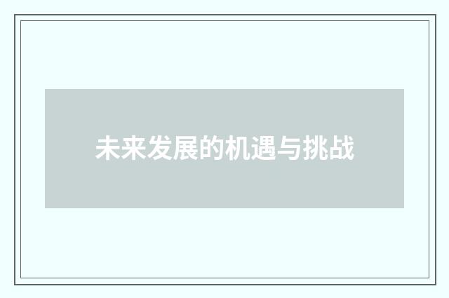 未来发展的机遇与挑战