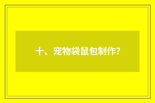 十、宠物袋鼠包制作？