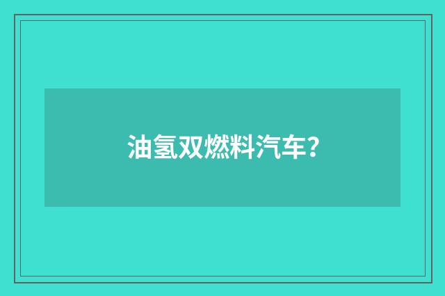 油氢双燃料汽车?