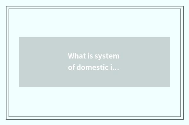 What is system of domestic intelligence household?