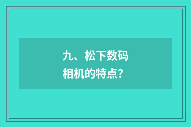 九、松下数码相机的特点？
