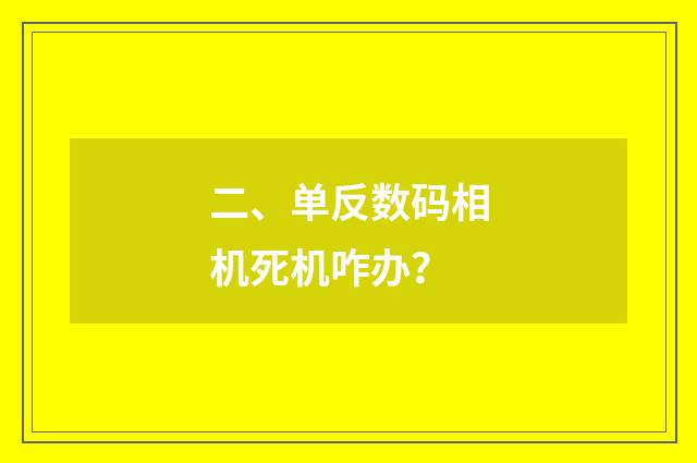 二、单反数码相机死机咋办?