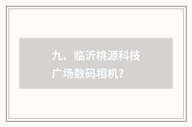 九、临沂桃源科技广场数码相机？