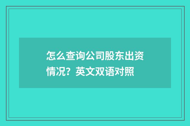怎么查询公司股东出资情况？英文双语对照