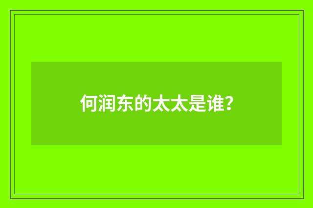 何润东的太太是谁？
