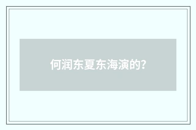 何润东夏东海演的？