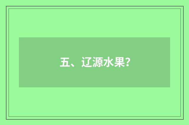 五、辽源水果？