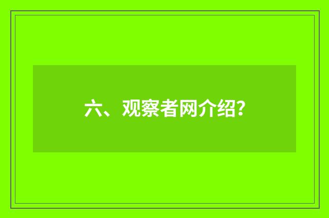 六、观察者网介绍？