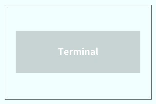Terminal