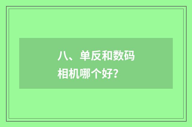 八、单反和数码相机哪个好?