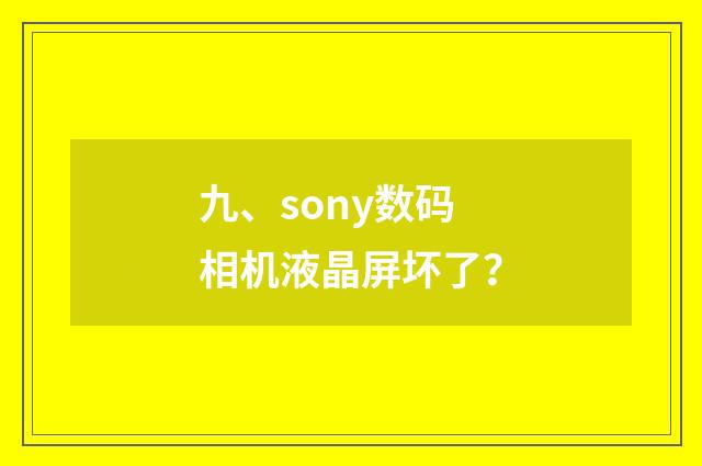 九、sony数码相机液晶屏坏了？