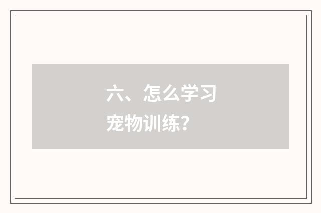 六、怎么学习宠物训练?