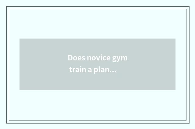 Does novice gym train a plan?