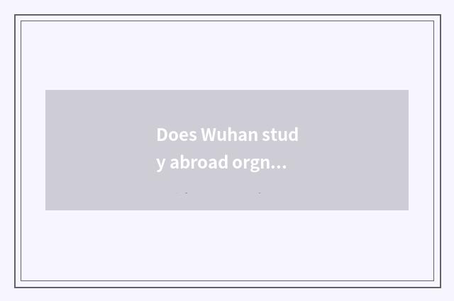 Does Wuhan study abroad orgnaization which are good?