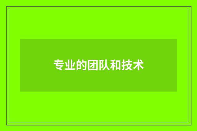 专业的团队和技术