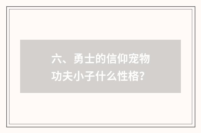 六、勇士的信仰宠物功夫小子什么性格?
