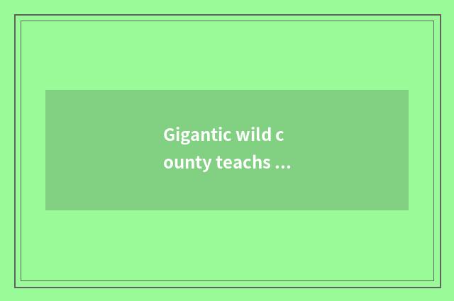 Gigantic wild county teachs policy