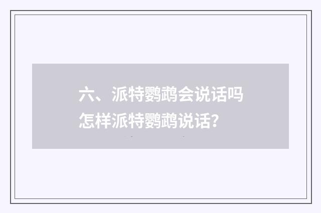 六、派特鹦鹉会说话吗怎样派特鹦鹉说话？