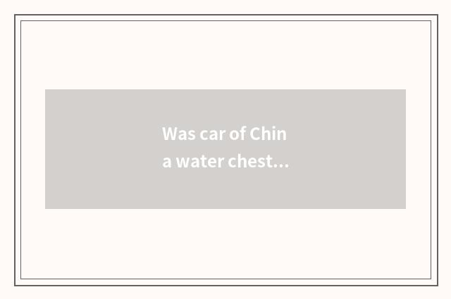 Was car of China water chestnut bought?