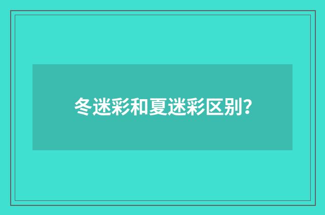 冬迷彩和夏迷彩区别?