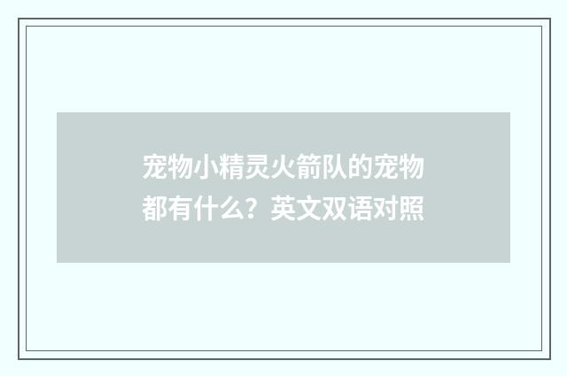 宠物小精灵火箭队的宠物都有什么?英文双语对照