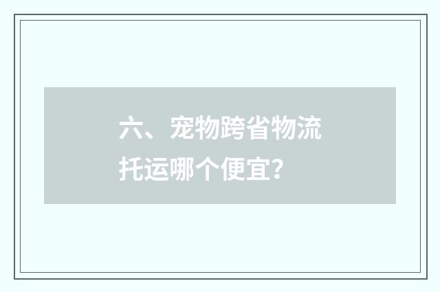 六、宠物跨省物流托运哪个便宜？