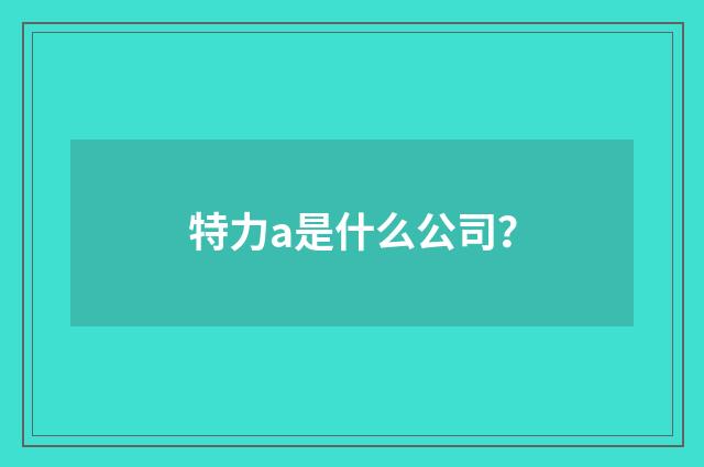 特力a是什么公司？