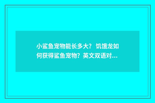 小鲨鱼宠物能长多大？ 饥饿龙如何获得鲨鱼宠物？英文双语对照
