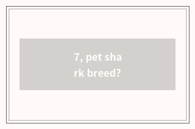 7, pet shark breed?