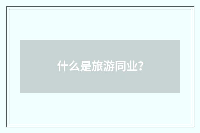 什么是旅游同业？