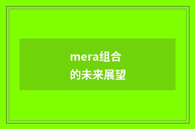 mera组合的未来展望