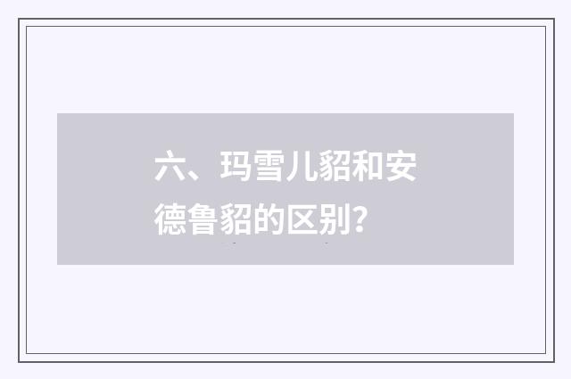 六、玛雪儿貂和安德鲁貂的区别?