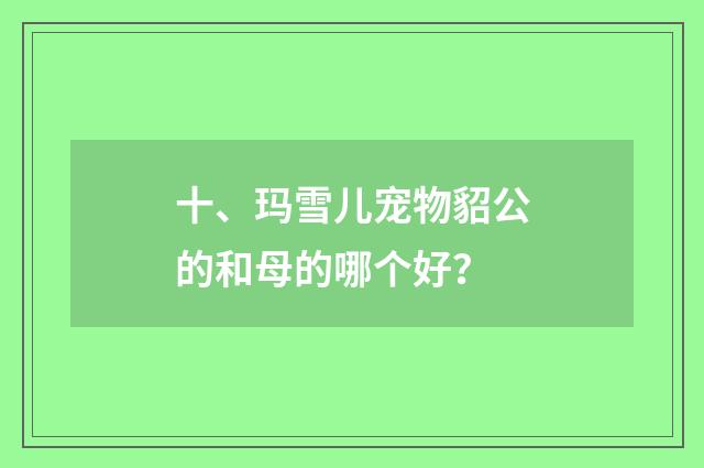 十、玛雪儿宠物貂公的和母的哪个好？