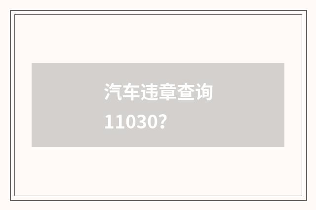 汽车违章查询11030?