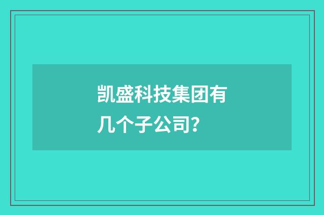 凯盛科技集团有几个子公司？