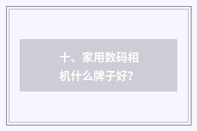 十、家用数码相机什么牌子好?