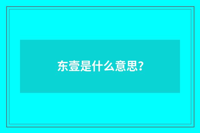 东壹是什么意思？