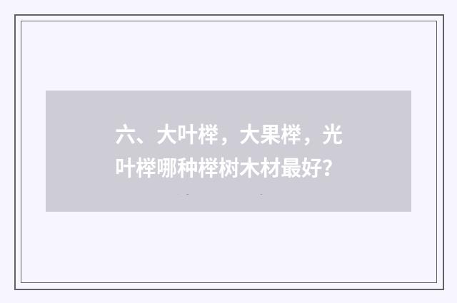 六、大叶榉,大果榉,光叶榉哪种榉树木材最好?