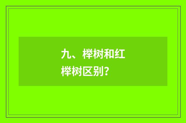 九、榉树和红榉树区别?