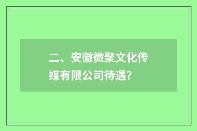 二、安徽微聚文化传媒有限公司待遇?