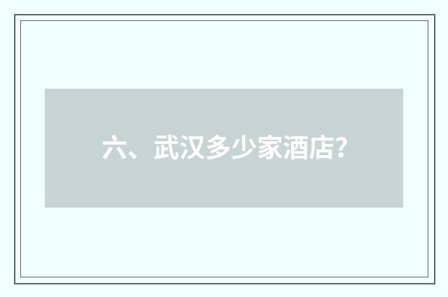 六、武汉多少家酒店？