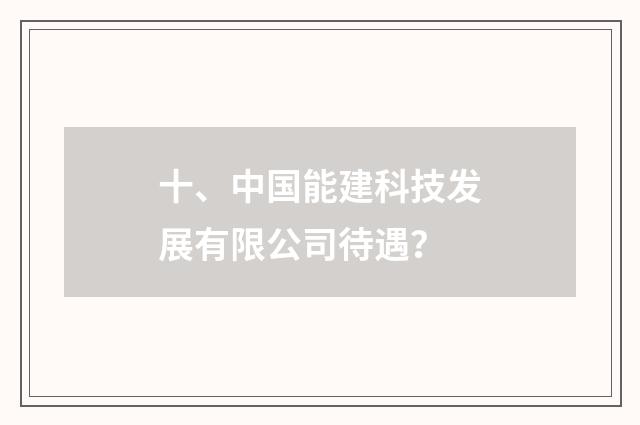 十、中国能建科技发展有限公司待遇？