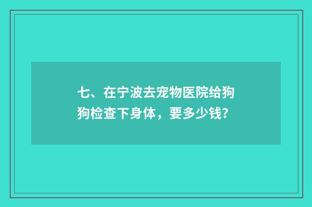七、在宁波去宠物医院给狗狗检查下身体,要多少钱?