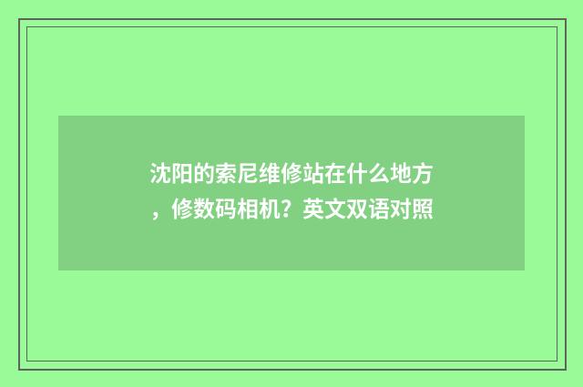 沈阳的索尼维修站在什么地方,修数码相机?英文双语对照