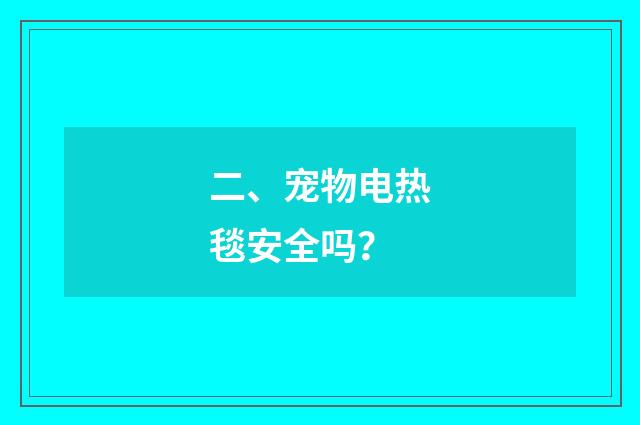 二、宠物电热毯安全吗？