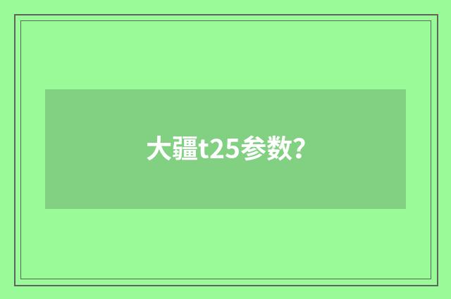 大疆t25参数？